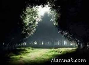 جن ها و ارواح